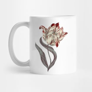 Rembrant Parrot Tulip Mug